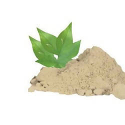 Hebsur Herbals Baelpatra Powder - Distacart