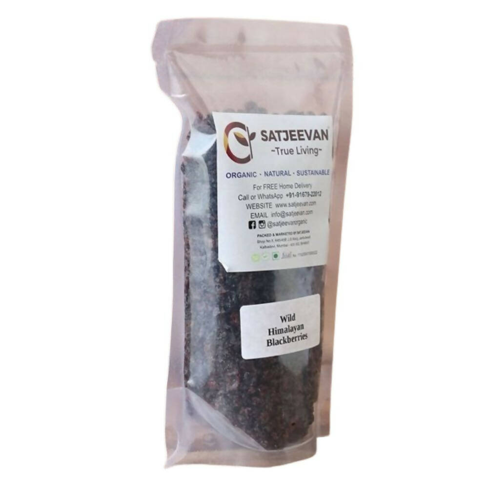 Satjeevan Wild Himalayan Blackberries - Distacart