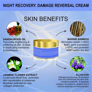 Body Gold Night Care Cream Benefits