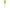 Yves Rocher Sebo Pure Vegetal Moisturizing Anti Blemish Care - Distacart