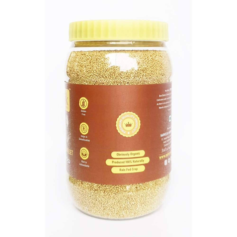 Nature's Trunk Brown Top Millets (Andu Korralu) - Distacart