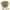 Freshon Green Cardamom