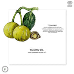 Thumbnail for Juicy Chemistry Pure & Organic Tamanu Seed Oil For Cold Pressed Carrier Oil - Distacart