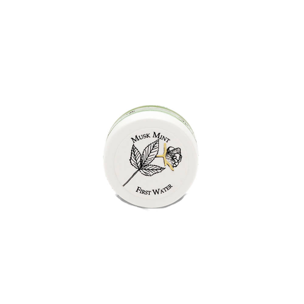 First Water Musk Mint Solid Perfume - Distacart