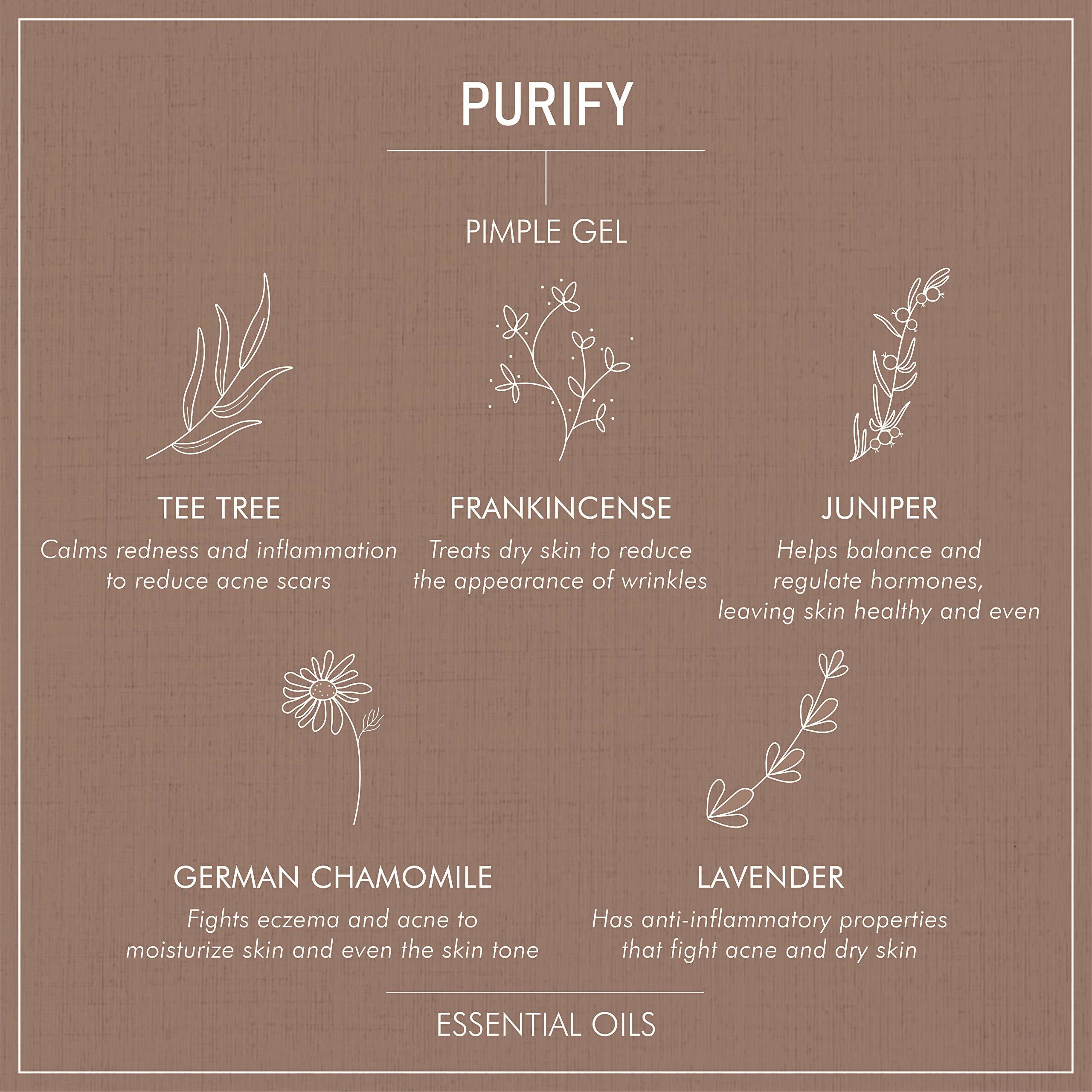 Secret Alchemist Purify Pimple Gel - Distacart