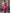 Suta Pink Floral Pure Cotton Saree - Distacart