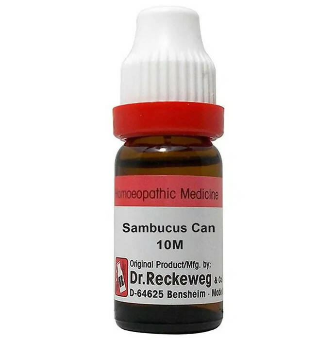 Dr. Reckeweg Sambucus Can Dilution - Distacart