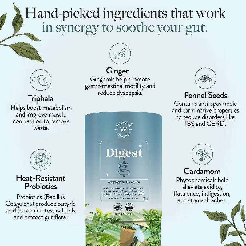 Wellbeing Nutrition Digest Green Tea - Distacart