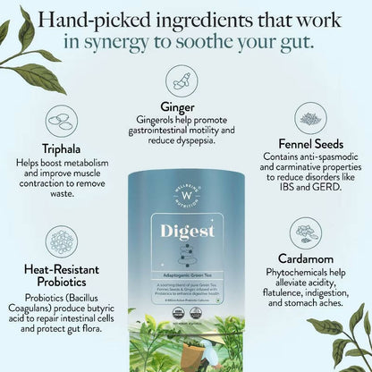 Wellbeing Nutrition Digest Green Tea - Distacart