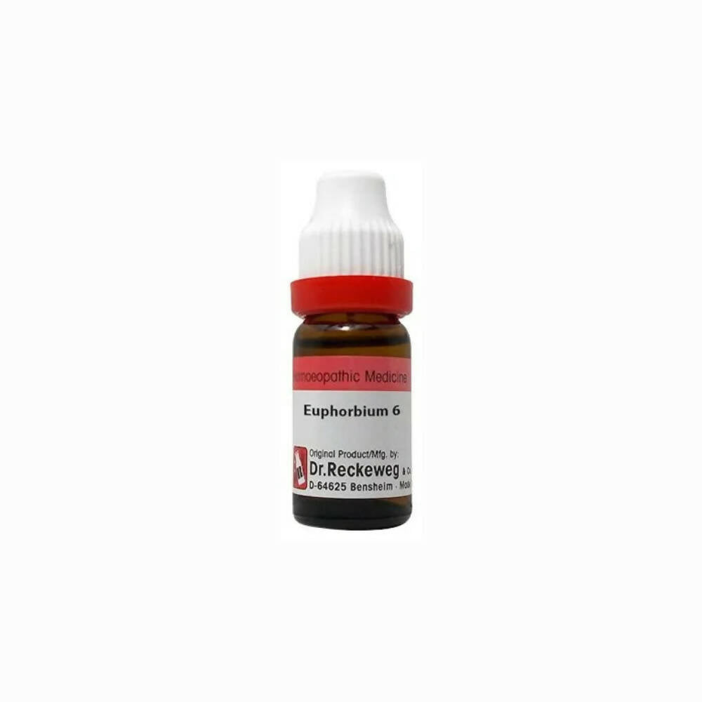 Dr. Reckeweg Euphorbium Dilution - Distacart