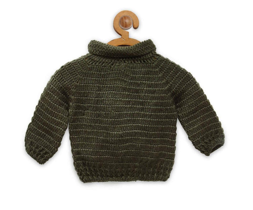 Chutput Kids Green Parrot Design Solid Pullover For Baby Boys Sweater For Baby Boys - Distacart
