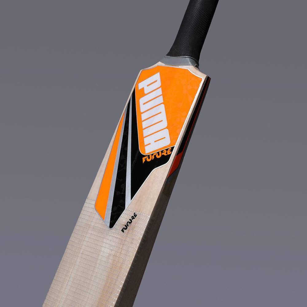 Puma Future Kashmir Willow Cricket Bat - Distacart