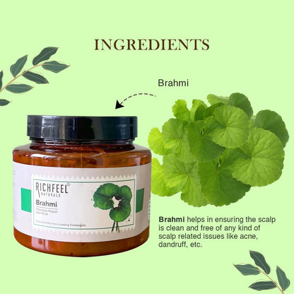 Richfeel Naturals Brahmi Intensive Repair Hair Pack - Distacart