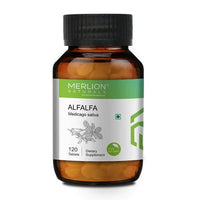 Thumbnail for Merlion Naturals Alfalfa 500mg Tablets - Distacart