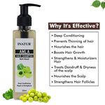 Thumbnail for Inatur Amla Hair Shampoo