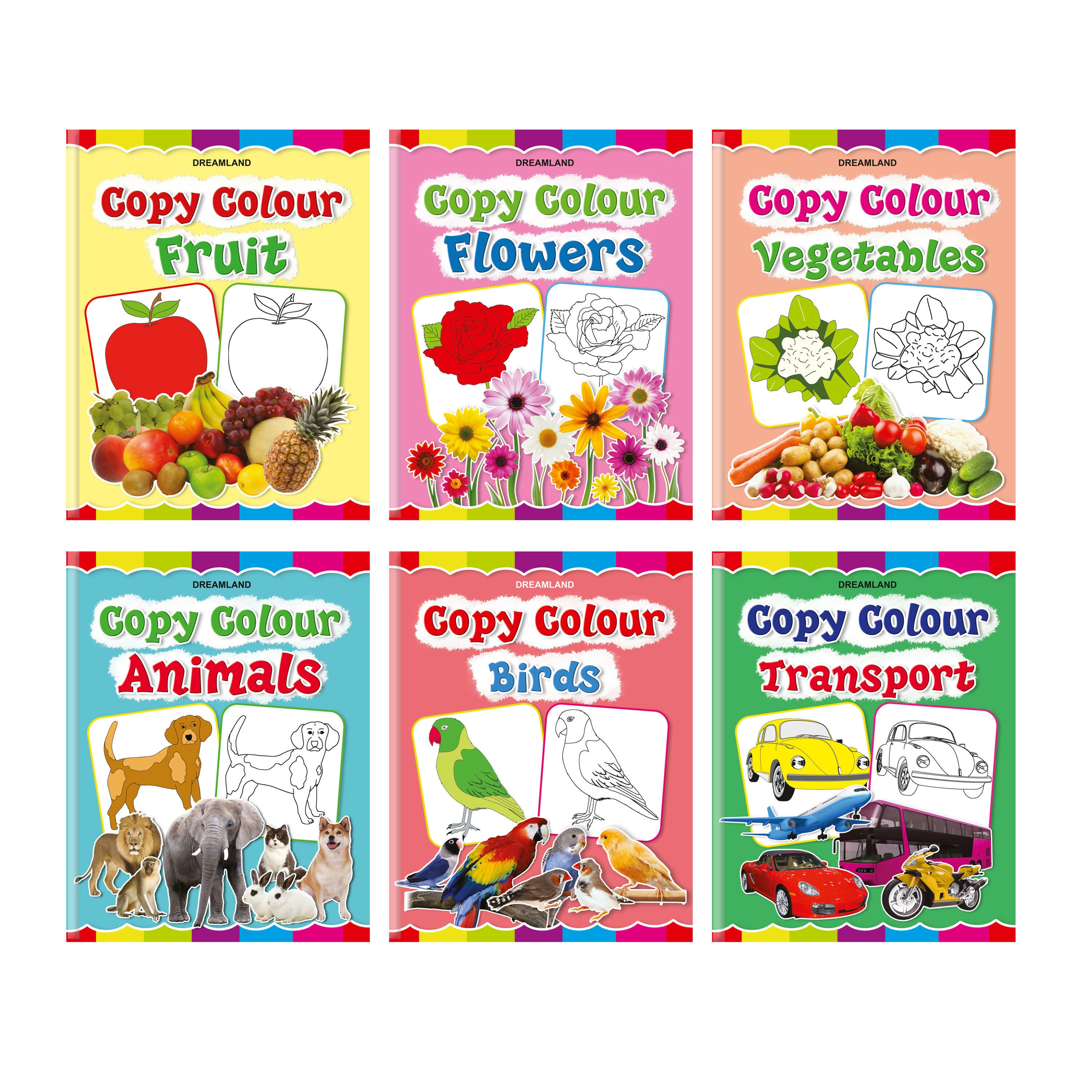 Dreamland Copy Colour Book - 1 to 6 (Pack) - Distacart