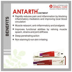 Thumbnail for Millennium Herbal Antarth Topical Anti Arthritic Ointment