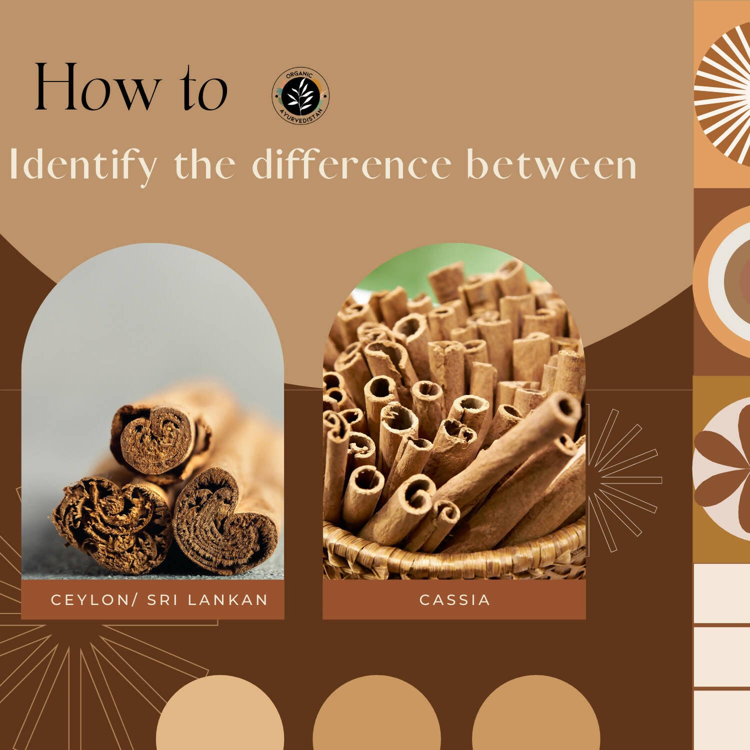 Organic Ayurvedistan Ceylon Cinnamon Sticks - Distacart