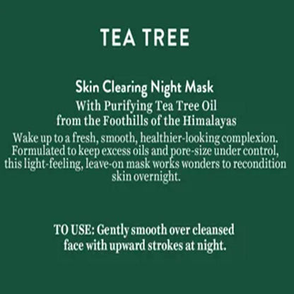 Biotique Tea Tree Skin Cleaning Night Mask