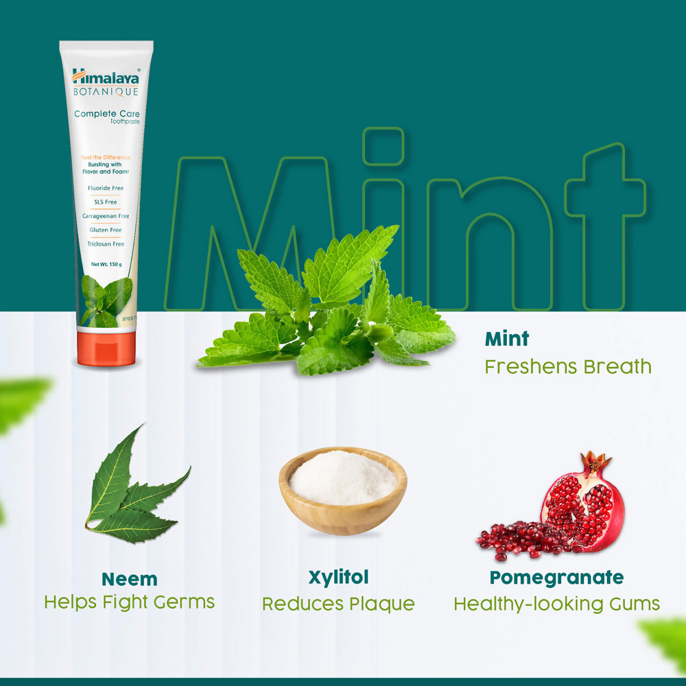 Himalaya Botanique Complete Care Toothpaste (Simply Mint) - Distacart