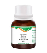 Thumbnail for Bio India Homeopathy Kalium Muriaticum Biochemic Tablets
