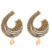 Thumbnail for Tehzeeb Creations Golden Plated Earrings With Kundan And Pearl
