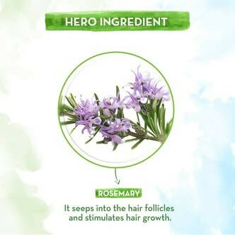 Mamaearth Rosemary Essential Oil for Hair Growth - Distacart