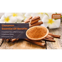 Thumbnail for Vaadi Herbals Cinnamon 100% Pure Essential Oil Therapeutic Grade - Distacart