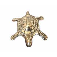 Thumbnail for Tortoise with Small Brass Plate - Distacart