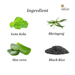 Thumbnail for Khadi Natural Black Rice Hair Cleanser
