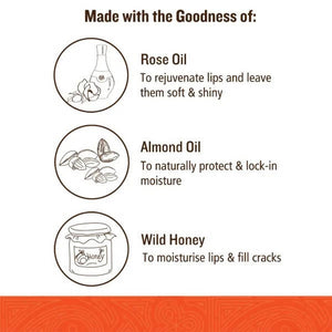 Soultree Ayurvedic Lip Gloss - Rose Dew Key Ingredients