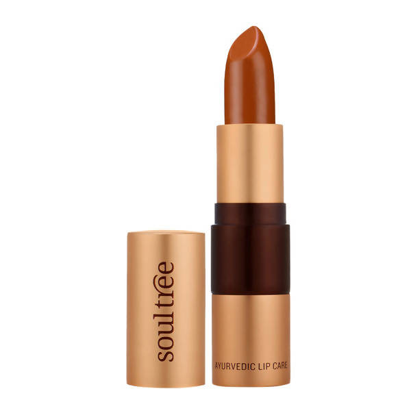 Soultree Ayurvedic Lipstick Rusty Cinnamon 840
