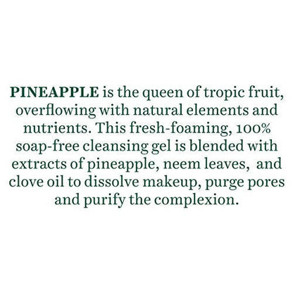 Biotique Advanced Ayurveda Bio Pineapple Oil Control Foaming Face Cleanser - Distacart