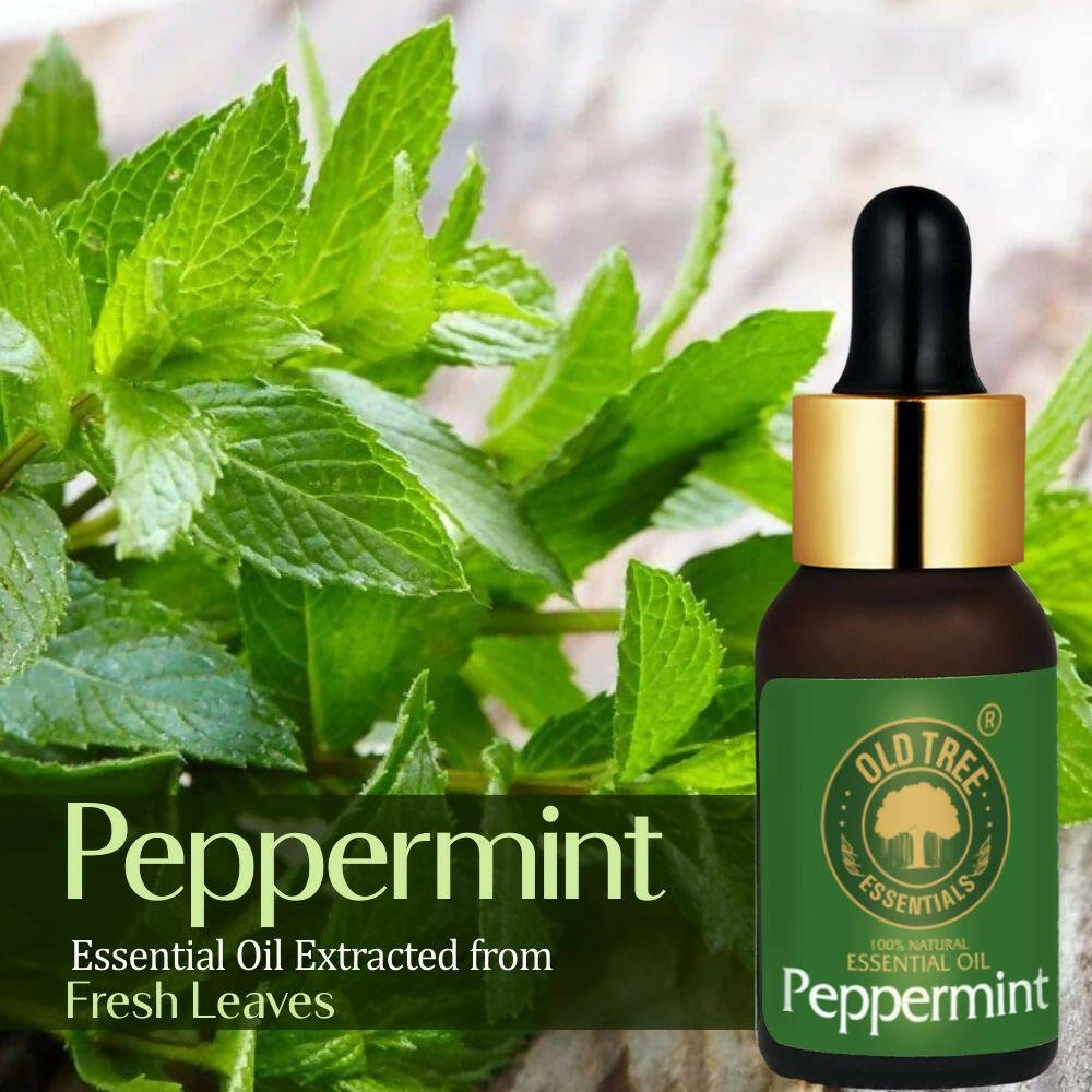 Old Tree Peppermint Essential Oil - Distacart