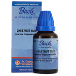Thumbnail for St. George's Bach Flower Remedies Chestnut Bud Dilution