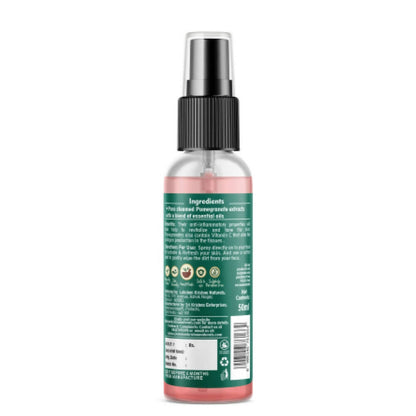 Lakshmi Krishna Naturals Pomegranate Toner - Distacart