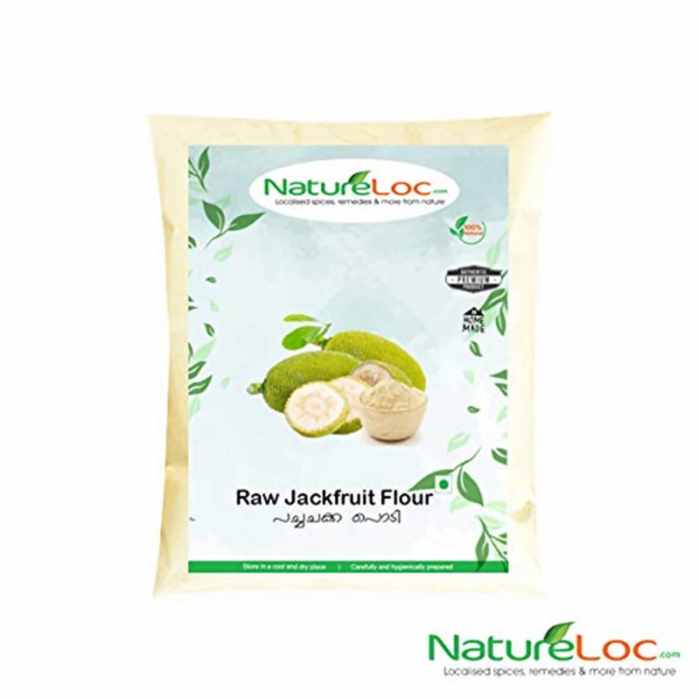 Natureloc Raw Jackfruit Flour - Distacart
