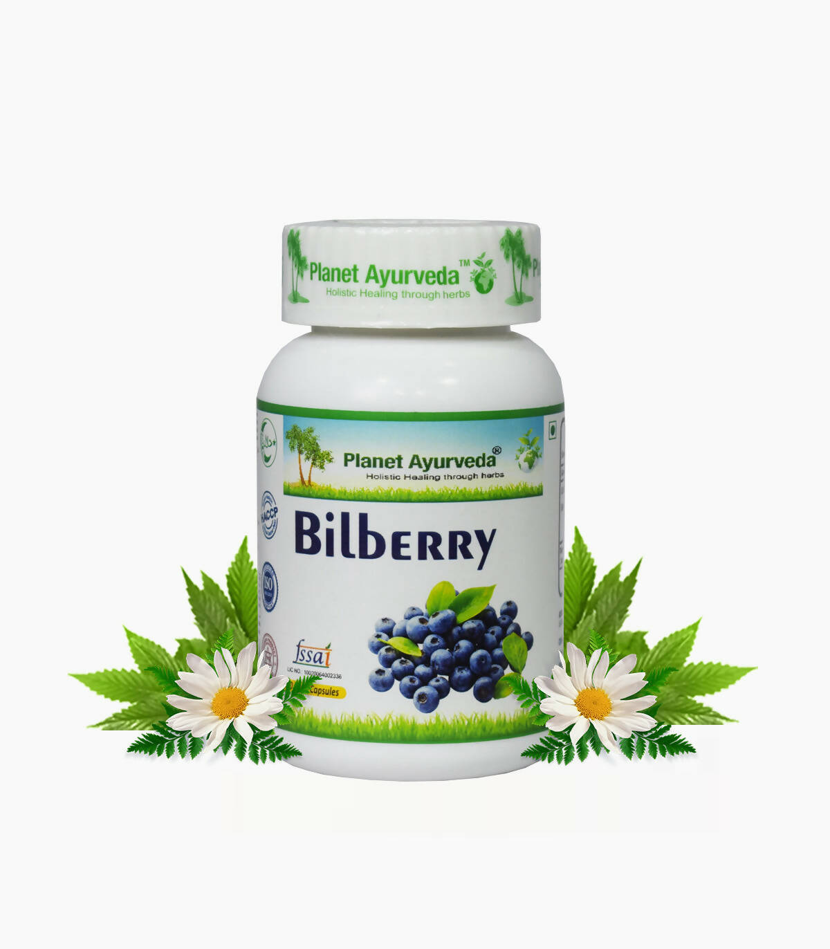 Planet Ayurveda Bilberry Capsules - Distacart