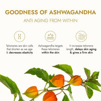 Thumbnail for Kapiva Ayurveda Skin Rituals Ashwagandha Anti-Aging Face Oil - Distacart