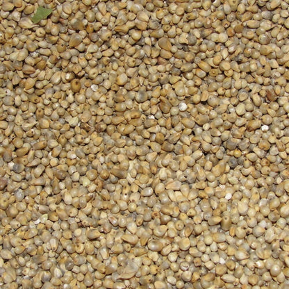 Freshon Pearl Millet - Natural - Distacart