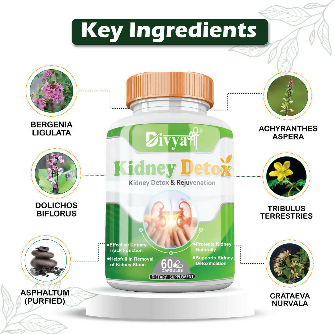 Divya Shree Kidney Detox Capsules - Distacart