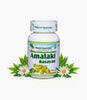 Planet Ayurveda Amalaki Rasayan Capsules - Distacart