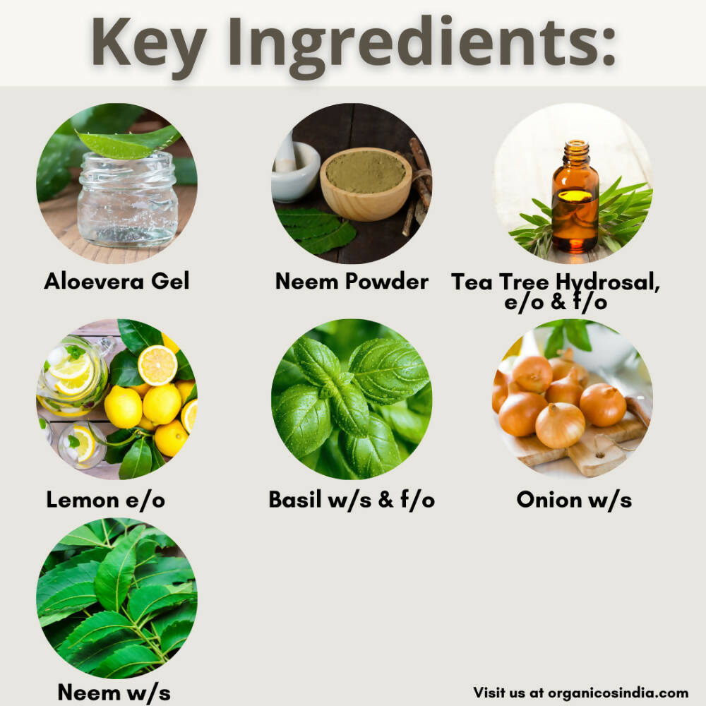 Organicos Anti Dandruff Hair Spa Mask - Distacart