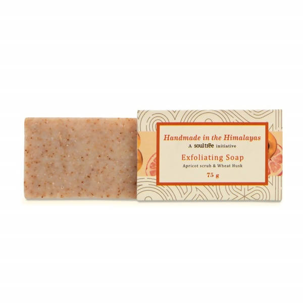 Soultree Exfoliating Soap - Distacart