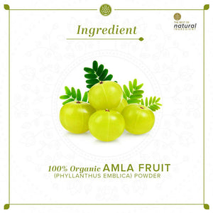 Khadi Natural Organic Amla Fruit Powder