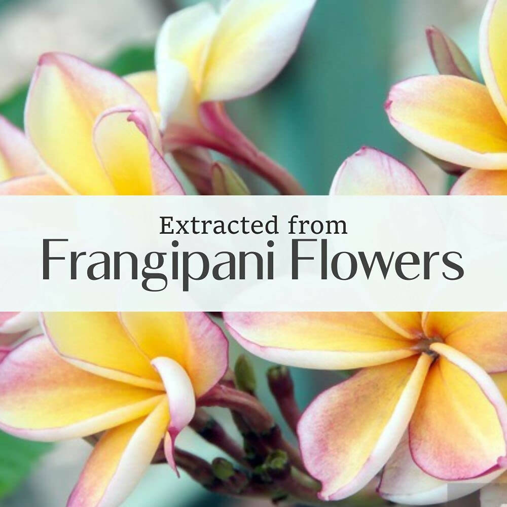 Old Tree Frangipani Essential Oil - Distacart