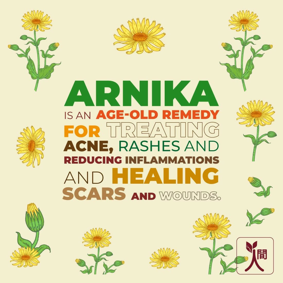 Ningen Arnica Hair Toner - Distacart