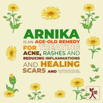 Thumbnail for Ningen Arnica Hair Toner - Distacart