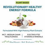 Thumbnail for Bliss Welness Keto Bliss MCT Oil Powder Premix - Distacart