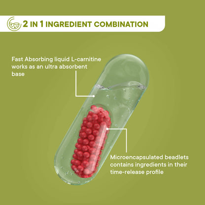 Wellbeing Nutrition Slow | Burn Capsules - Distacart